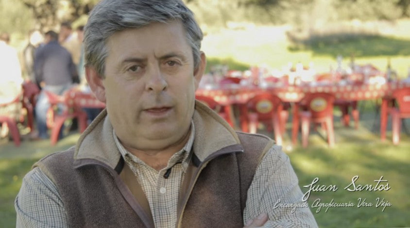 “Aquí los cerdos ibéricos viven felices, en libertad y pocas responsabilidades"