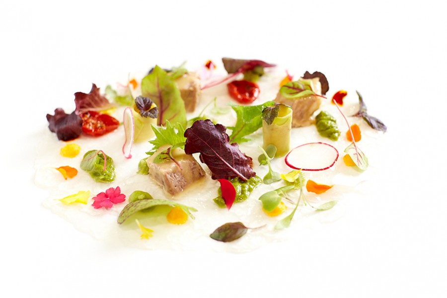 Ensalada tibia de Pluma Ibérica escabechada, toques cremosos y puré de lechuga