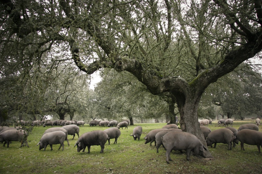 Pasión por la naturaleza