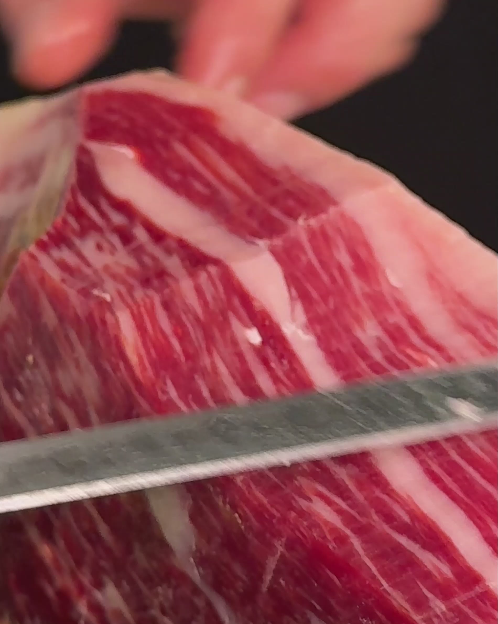 CENTRO DE JAMÓN DE BELLOTA 100% IBÉRICO