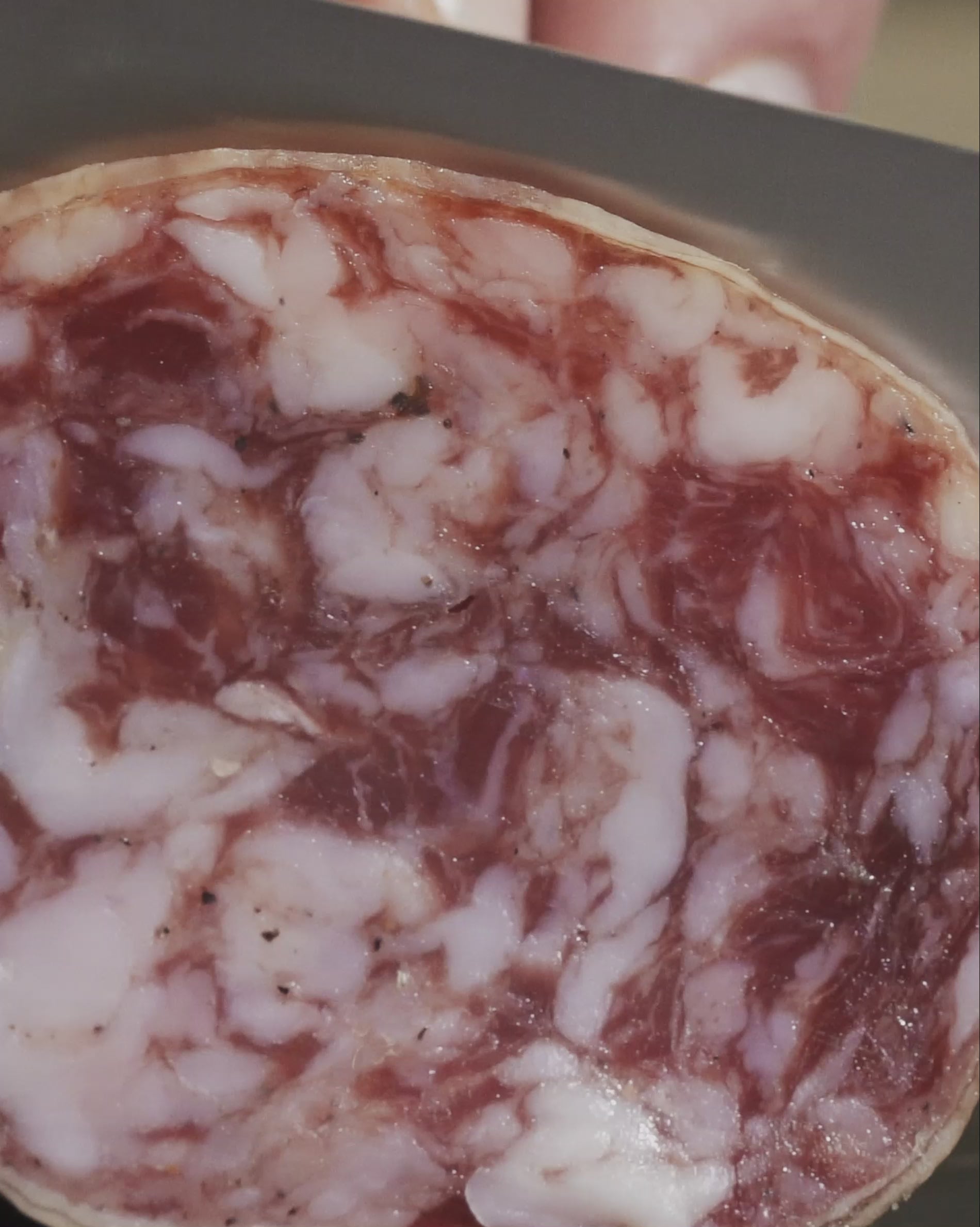 SALCHICHÓN IBÉRICO EXTRA BELLOTA CAMPAÑA