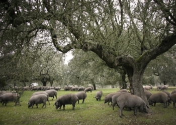 Pasión por la naturaleza