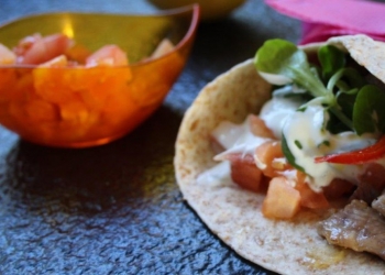 GYROS DE PLUMA IBÉRICA ALJOMAR